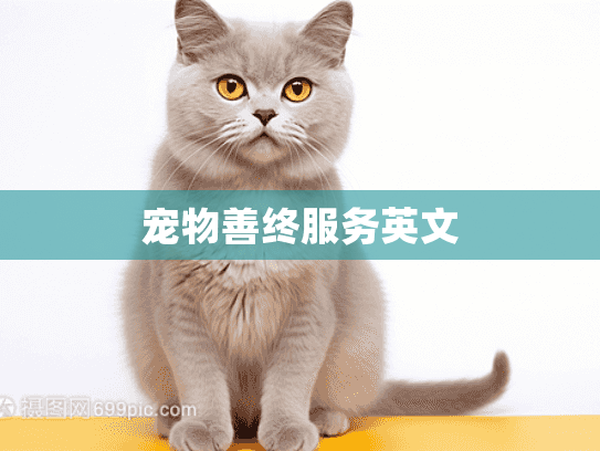 宠物善终服务英文