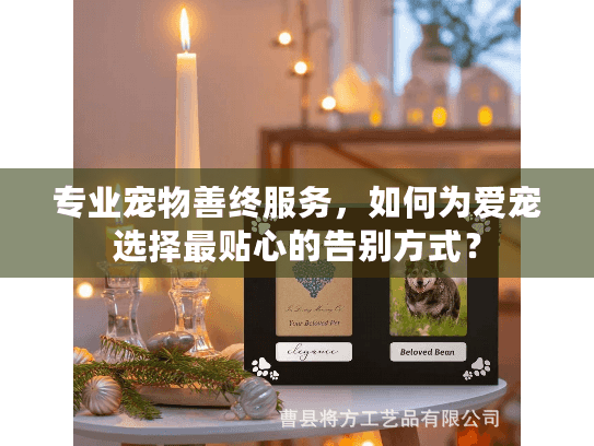 专业宠物善终服务，如何为爱宠选择最贴心的告别方式？