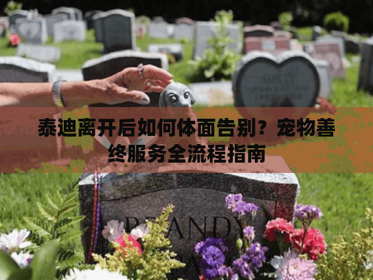 泰迪离开后如何体面告别？宠物善终服务全流程指南