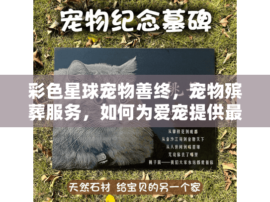 彩色星球宠物善终，宠物殡葬服务，如何为爱宠提供最佳告别？