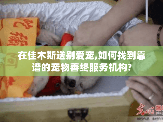 在佳木斯送别爱宠,如何找到靠谱的宠物善终服务机构?