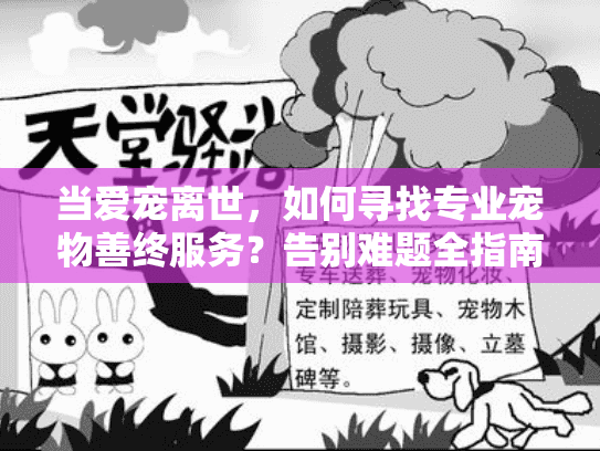 当爱宠离世，如何寻找专业宠物善终服务？告别难题全指南