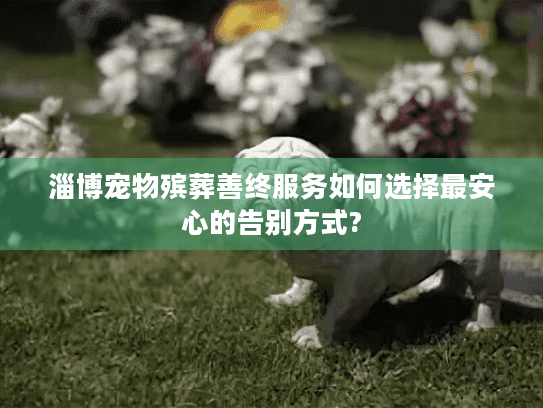 淄博宠物殡葬善终服务如何选择最安心的告别方式?