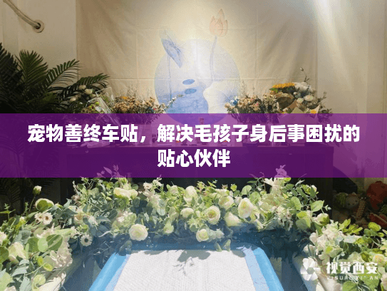 宠物善终车贴，解决毛孩子身后事困扰的贴心伙伴