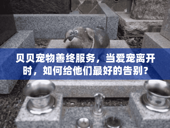 贝贝宠物善终服务，当爱宠离开时，如何给他们最好的告别？