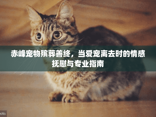 赤峰宠物殡葬善终，当爱宠离去时的情感抚慰与专业指南