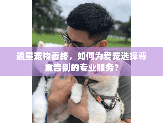 返星宠物善终，如何为爱宠选择尊重告别的专业服务？