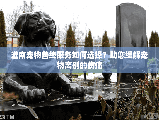 淮南宠物善终服务如何选择？助您缓解宠物离别的伤痛