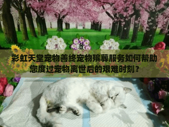 彩虹天堂宠物善终宠物殡葬服务如何帮助您度过宠物离世后的艰难时刻？