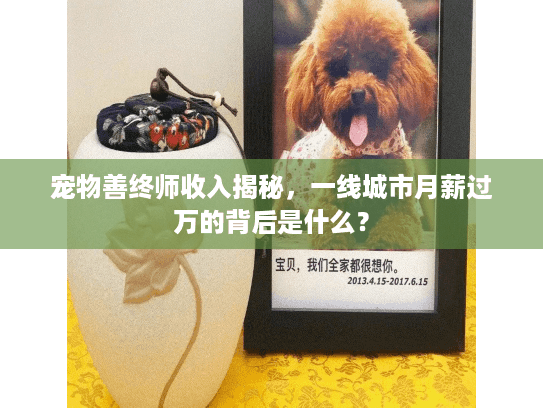 宠物善终师收入揭秘，一线城市月薪过万的背后是什么？