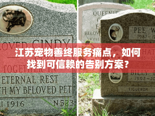 江苏宠物善终服务痛点，如何找到可信赖的告别方案？