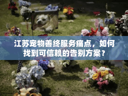 江苏宠物善终服务痛点，如何找到可信赖的告别方案？