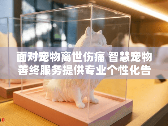 面对宠物离世伤痛 智慧宠物善终服务提供专业个性化告别仪式