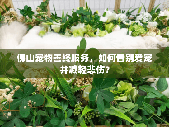 佛山宠物善终服务，如何告别爱宠并减轻悲伤？