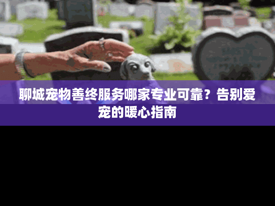 聊城宠物善终服务哪家专业可靠？告别爱宠的暖心指南