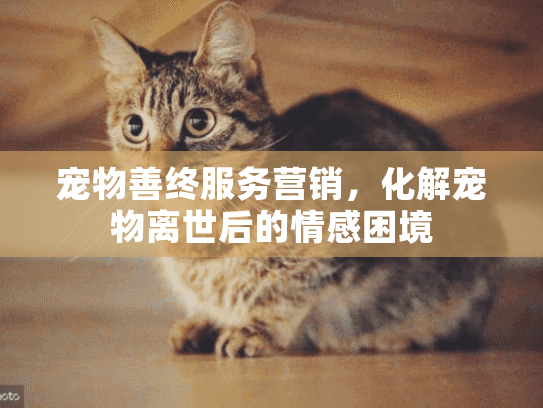 宠物善终服务营销，化解宠物离世后的情感困境