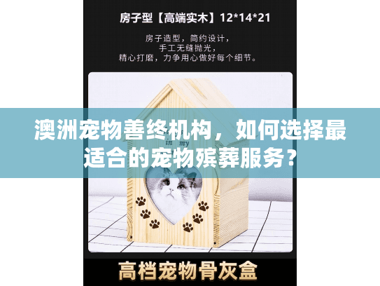 澳洲宠物善终机构，如何选择最适合的宠物殡葬服务？