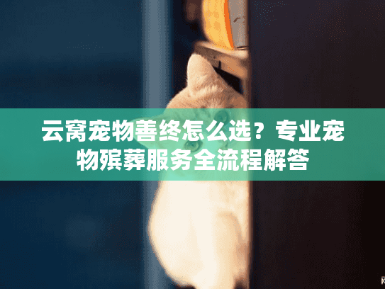 云窝宠物善终怎么选？专业宠物殡葬服务全流程解答