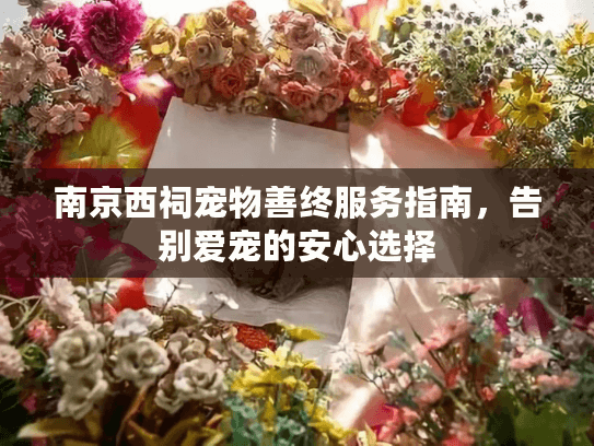 南京西祠宠物善终服务指南，告别爱宠的安心选择