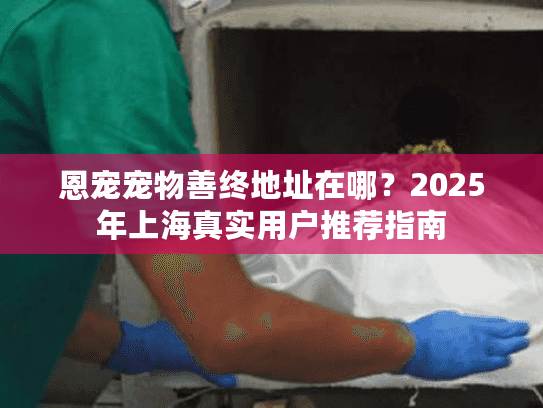 恩宠宠物善终地址在哪？2025年上海真实用户推荐指南