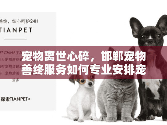 宠物离世心碎，邯郸宠物善终服务如何专业安排宠物殡葬？