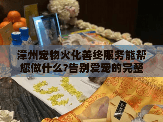 漳州宠物火化善终服务能帮您做什么?告别爱宠的完整指南