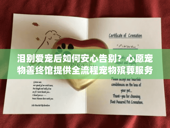 泪别爱宠后如何安心告别？心愿宠物善终馆提供全流程宠物殡葬服务