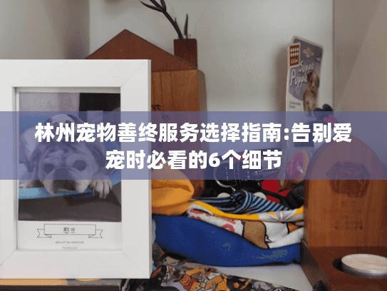 林州宠物善终服务选择指南:告别爱宠时必看的6个细节