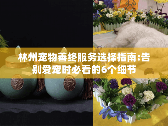 林州宠物善终服务选择指南:告别爱宠时必看的6个细节