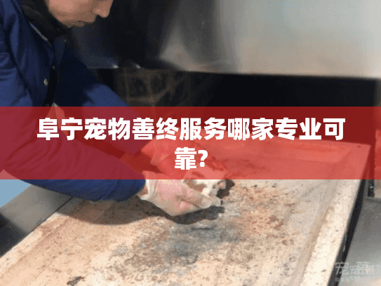 阜宁宠物善终服务哪家专业可靠?