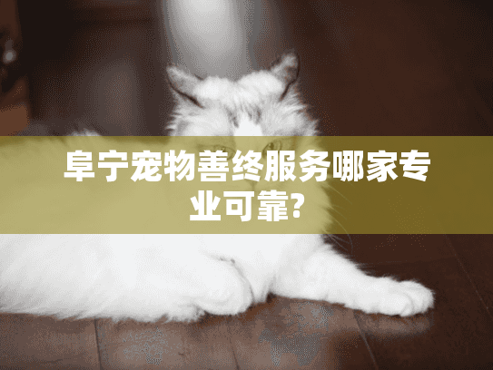 阜宁宠物善终服务哪家专业可靠?
