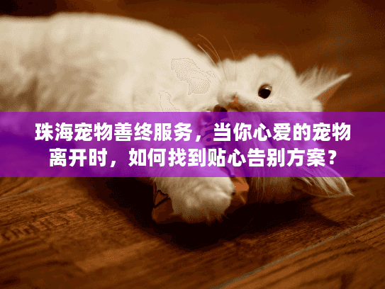 珠海宠物善终服务，当你心爱的宠物离开时，如何找到贴心告别方案？