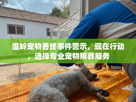 温岭宠物善终事件警示，现在行动，选择专业宠物殡葬服务
