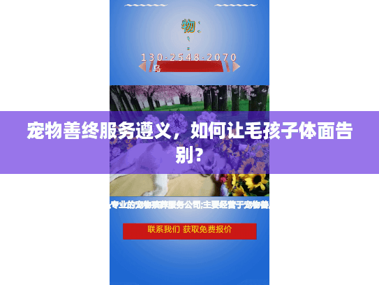 宠物善终服务遵义，如何让毛孩子体面告别？