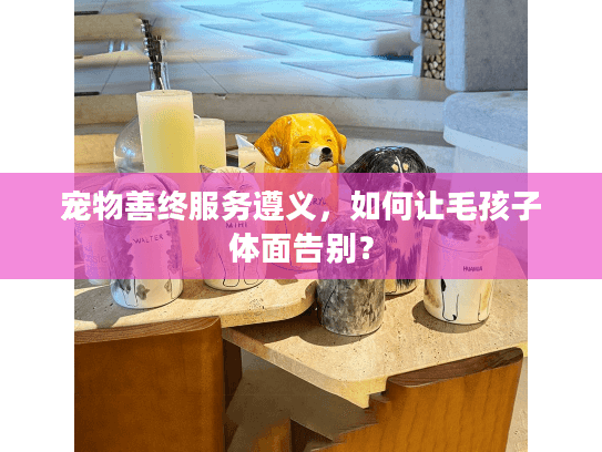 宠物善终服务遵义，如何让毛孩子体面告别？