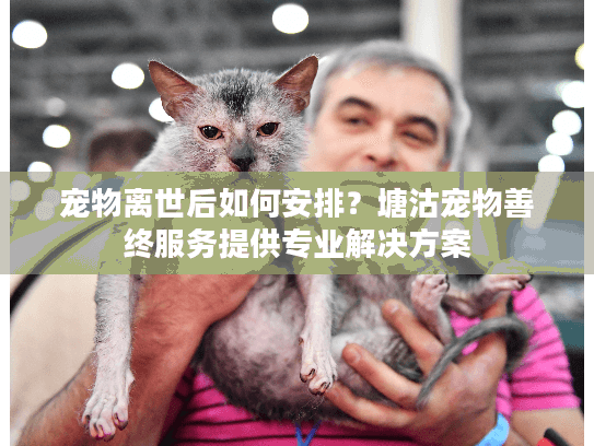 宠物离世后如何安排？塘沽宠物善终服务提供专业解决方案