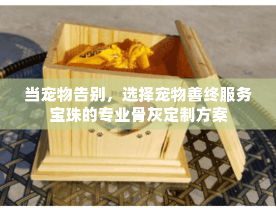 当宠物告别，选择宠物善终服务宝珠的专业骨灰定制方案