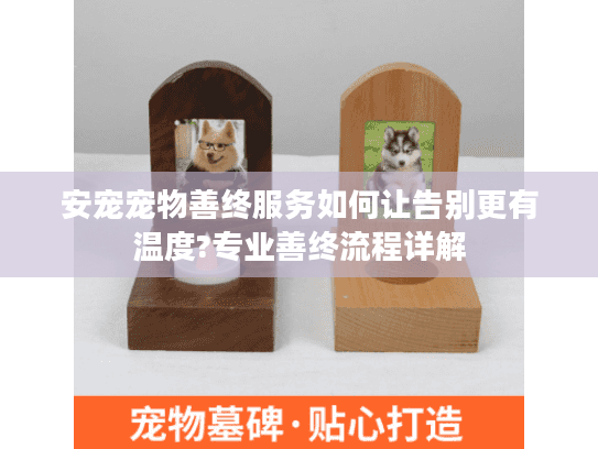 安宠宠物善终服务如何让告别更有温度?专业善终流程详解