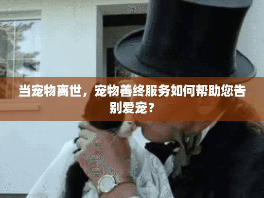 当宠物离世，宠物善终服务如何帮助您告别爱宠？