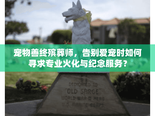 宠物善终殡葬师，告别爱宠时如何寻求专业火化与纪念服务？