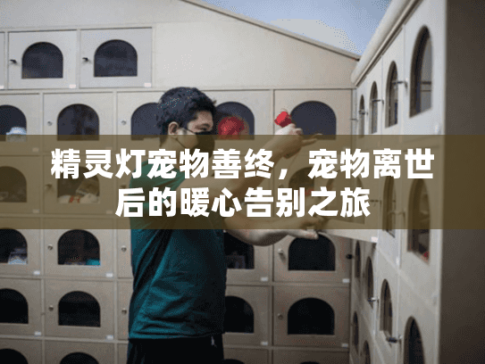 精灵灯宠物善终，宠物离世后的暖心告别之旅