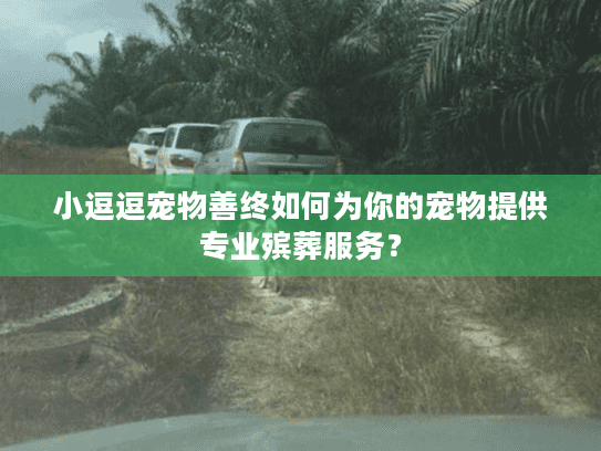 小逗逗宠物善终如何为你的宠物提供专业殡葬服务？