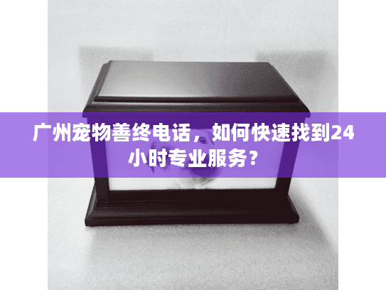 广州宠物善终电话，如何快速找到24小时专业服务？