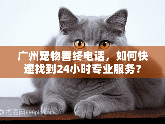 广州宠物善终电话，如何快速找到24小时专业服务？