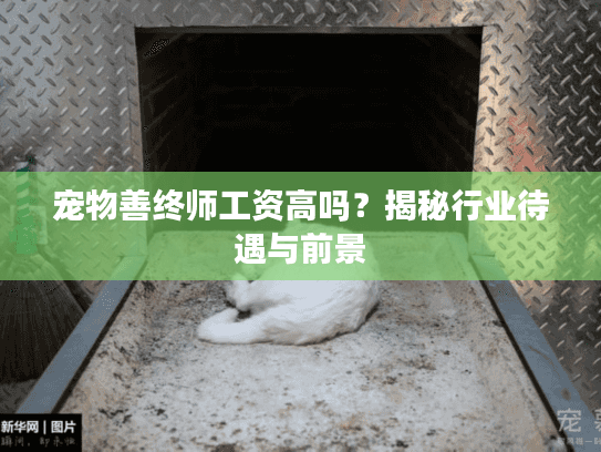 宠物善终师工资高吗？揭秘行业待遇与前景