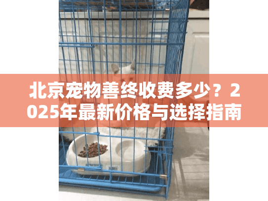 北京宠物善终收费多少？2025年最新价格与选择指南