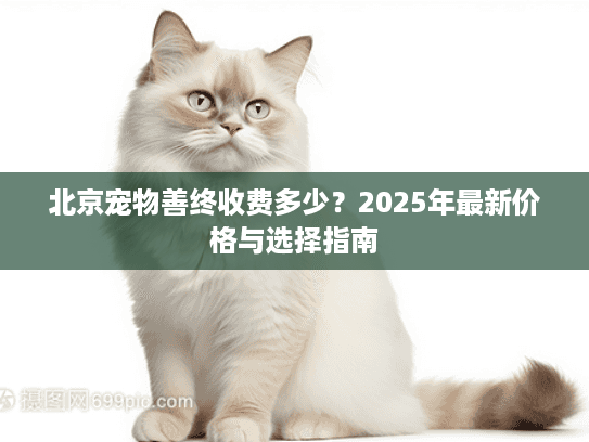 北京宠物善终收费多少？2025年最新价格与选择指南