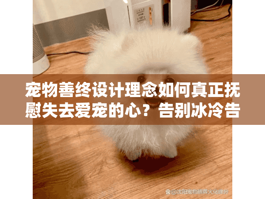 宠物善终设计理念如何真正抚慰失去爱宠的心？告别冰冷告别仓促