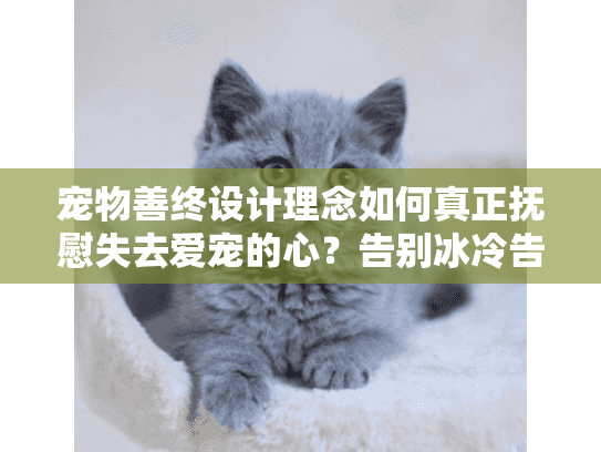 宠物善终设计理念如何真正抚慰失去爱宠的心？告别冰冷告别仓促