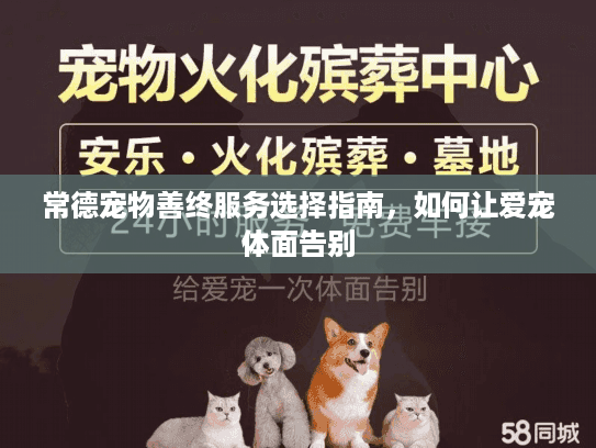 常德宠物善终服务选择指南，如何让爱宠体面告别